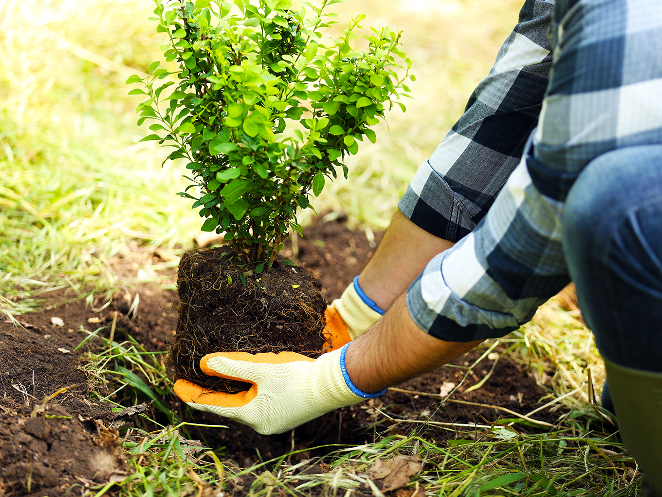 Building a Strong Foundation: Establishing Good Credit Habits Man planting a tree to build a strong foundation for the future